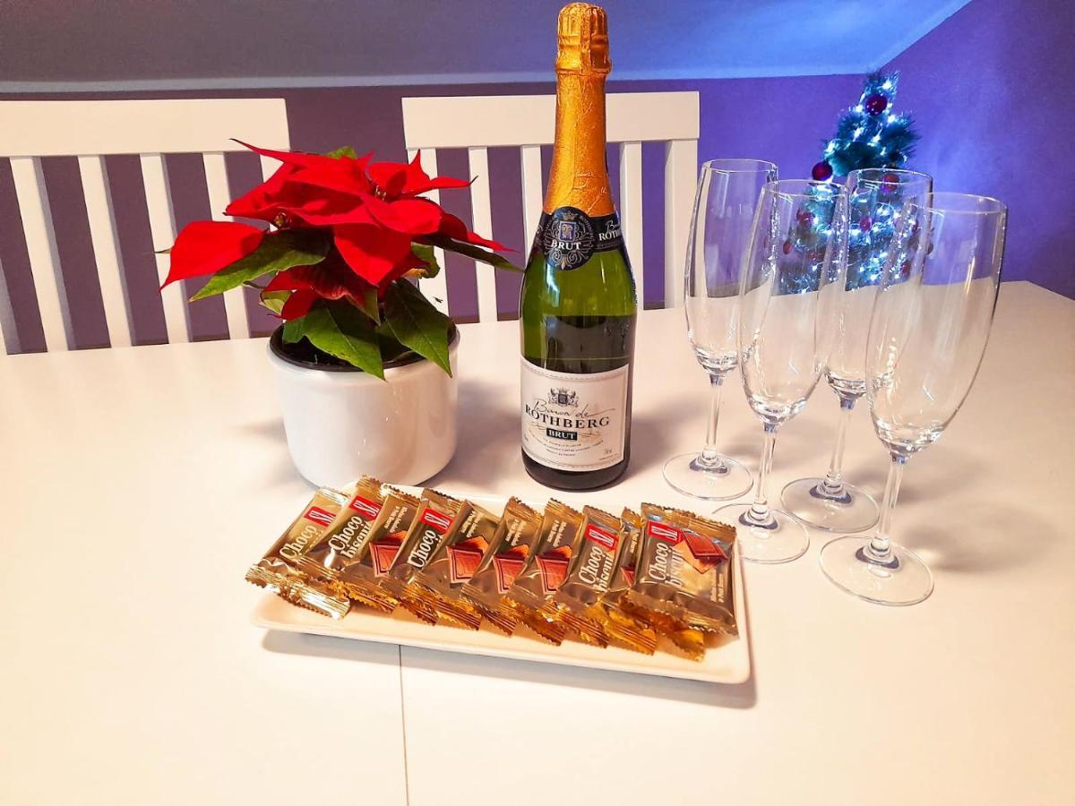 Apartman Japanski Vrt, Centar Vrnjačka Banja Zewnętrze zdjęcie