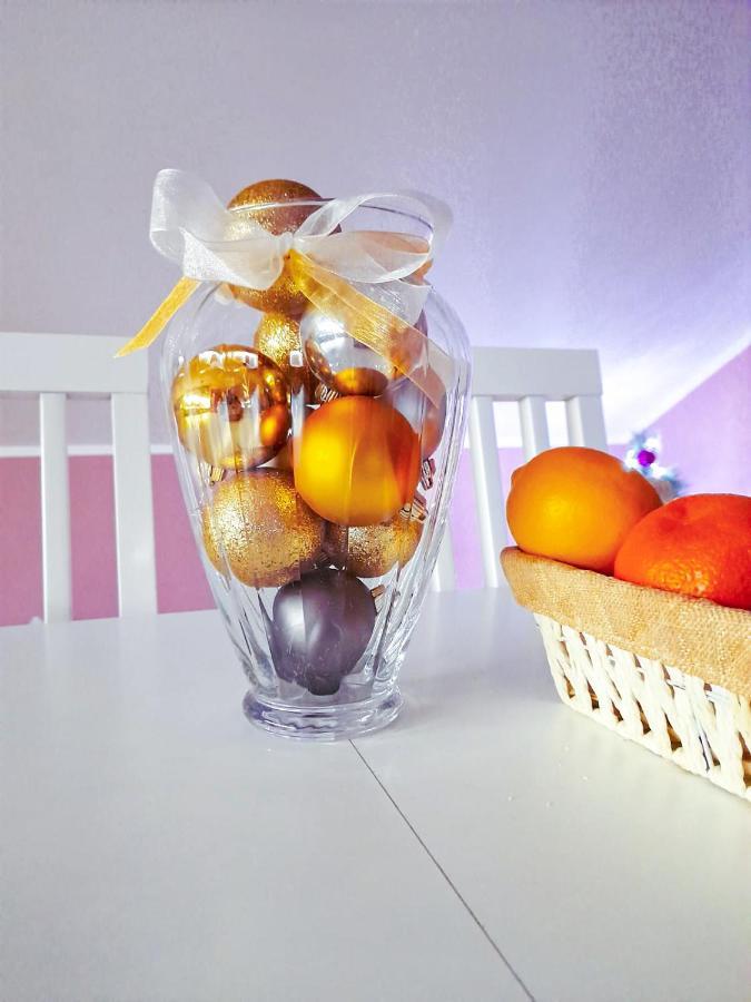Apartman Japanski Vrt, Centar Vrnjačka Banja Zewnętrze zdjęcie