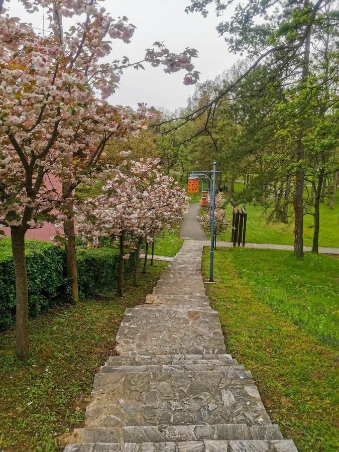Apartman Japanski Vrt, Centar Vrnjačka Banja Zewnętrze zdjęcie