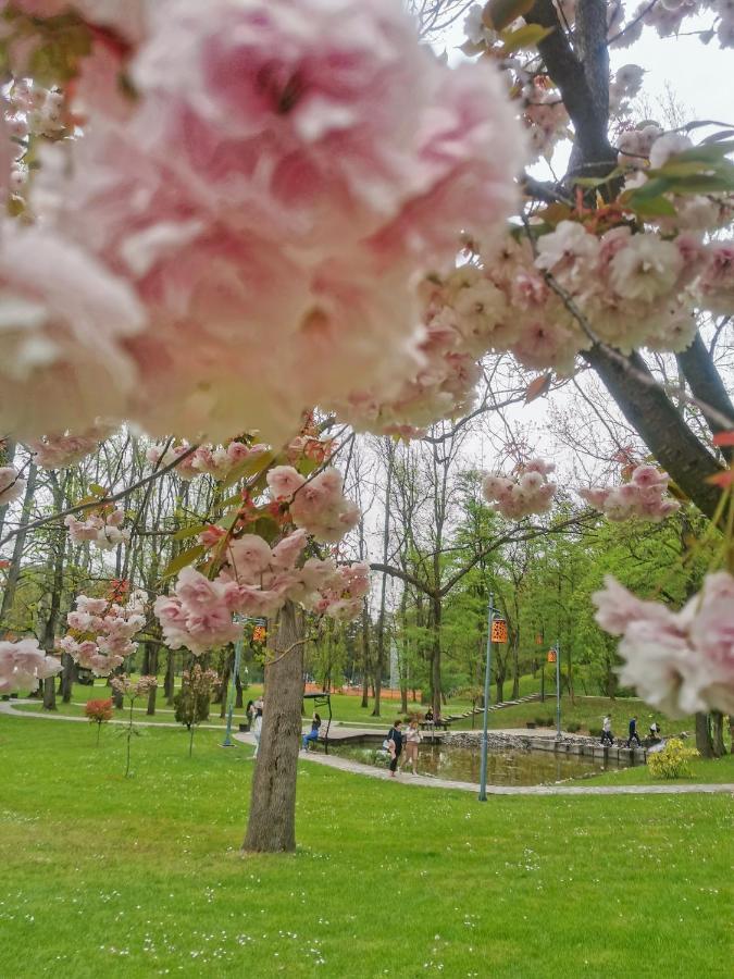 Apartman Japanski Vrt, Centar Vrnjačka Banja Zewnętrze zdjęcie